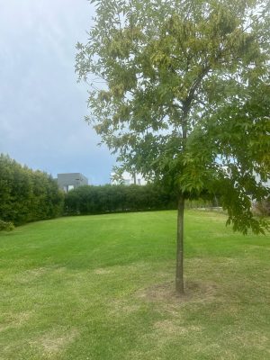 Central lot for sale in Los Castaños, Nordelta