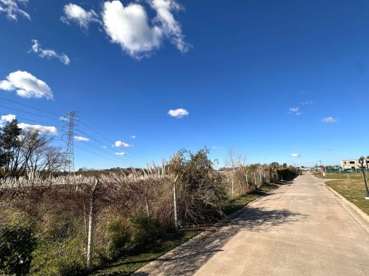 For Sale Land 15,000 M² For Development Tigre