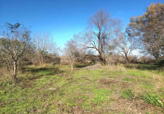 Venta De Lote En Benavidez