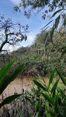 Venta Lote En Rio Parana De Las Palmas