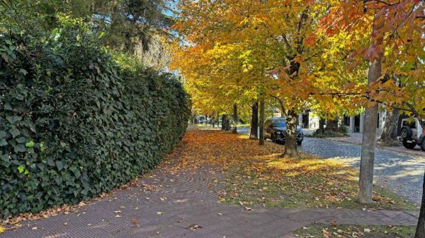 TERRENO 1145 m2, SAN ISIDRO, BARRIO AGUIRRE
