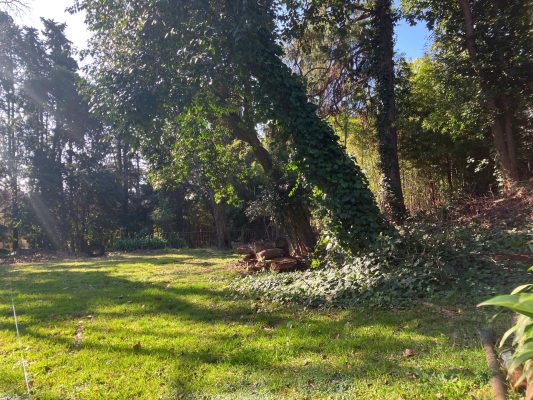 Sale of 600 square meter lot in San Isidro Historic Center