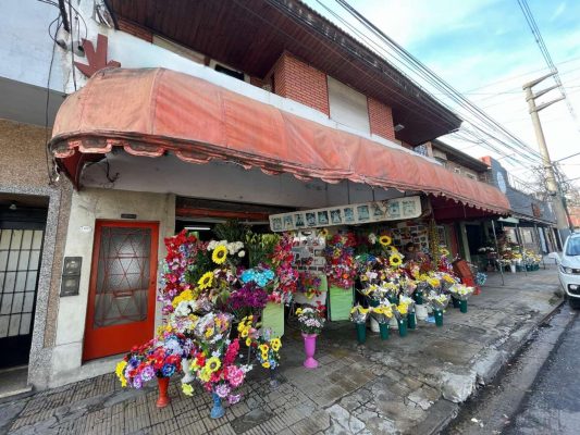 Ideal Investment Land Sale San Isidro
