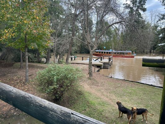 Venta Casa 2 Ambientes Rio Carapachay Delta Tigre