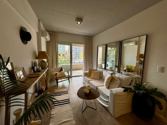 2-room apartment rental in Tigre Center