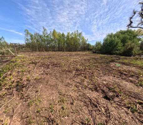 Two lots for sale in Arroyo Urión with deed