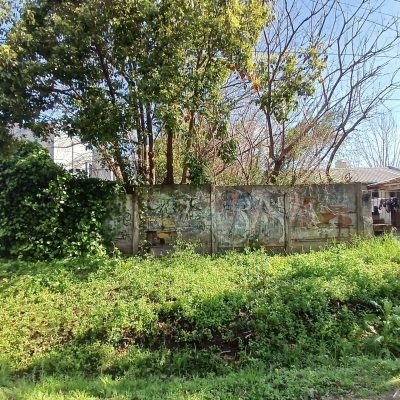 Venta Lote 10X65 Pacheco Tigre Ideal Inversor