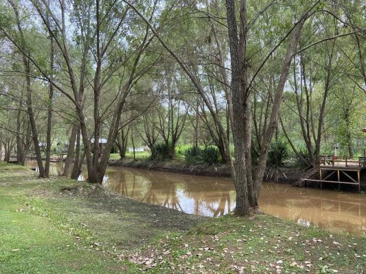 Lote En Venta Palmares Del Delta