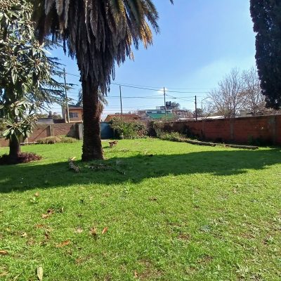 Venta Casa Lote 20X65 Pacheco Tigre Ideal Inversor