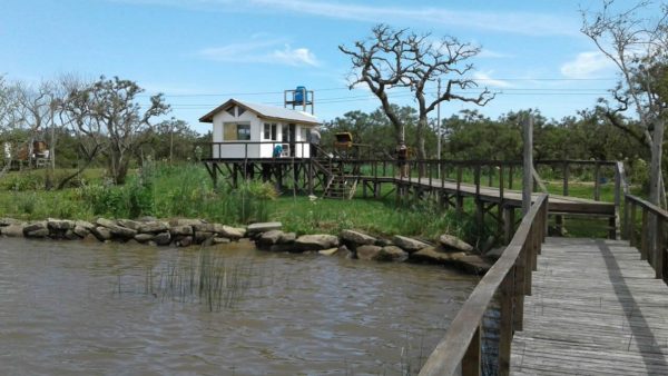 VENTA 8,4 ha para inversión – Canal Honda - Delta