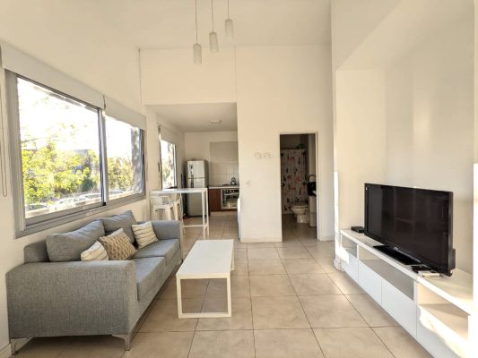 Furnished 1-room apartment for rent in Nordelta