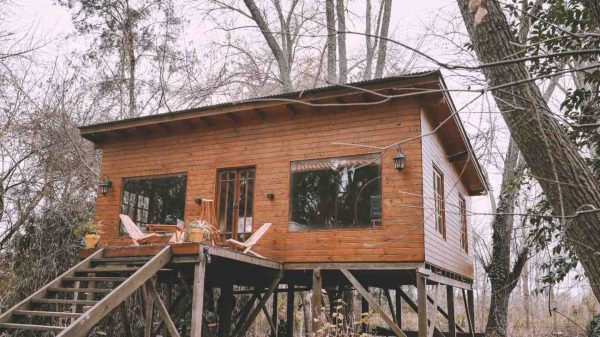 Venta Cabaña – Arroyo Caraguatá – DELTA