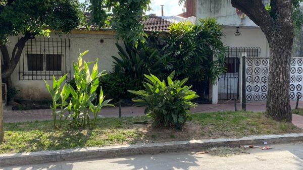 Venta Ph 3 Amb Victoria Con Patio A Refaccionar
