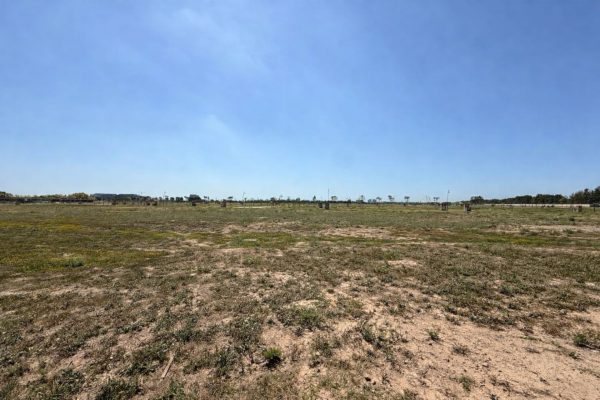 Sale Lot in Barrio Silvestre Nordelta