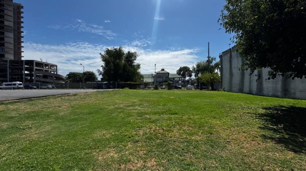 Venta De Lote En Tigre - Puerto De Frutos