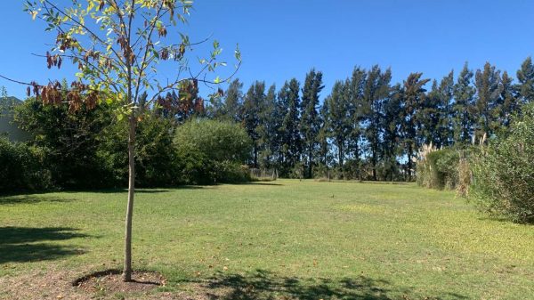 Venta Lote En B° Santa Teresa Tigre Villanueva