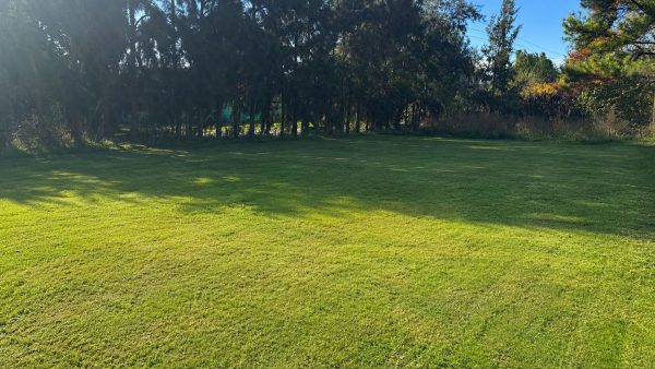 Venta Terreno Tigre Barrio Semicerrado