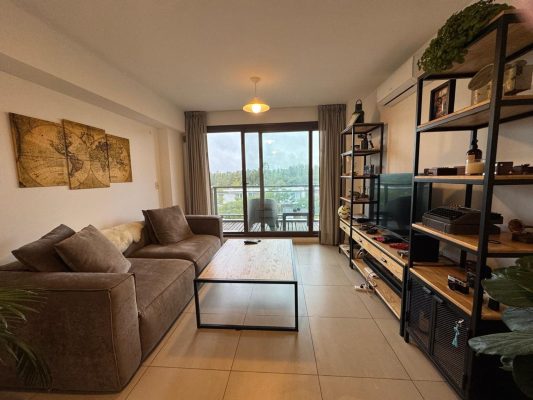 Venta depto 2 ambientes Nordelta