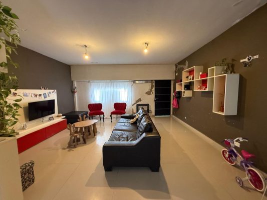 Modern 5-Room House in Martínez + Apartment