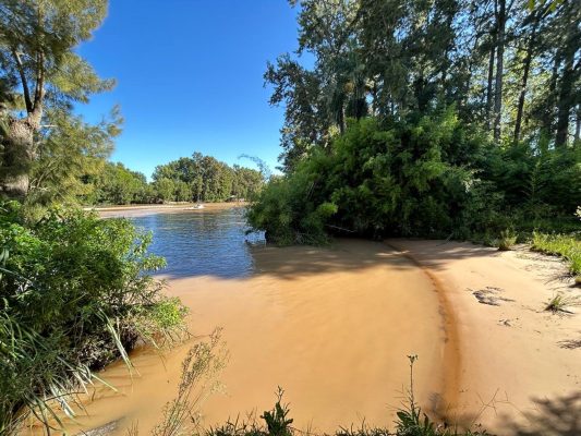 Lot Canal Arias-13 for Sale – 13 Hectares, Tigre
