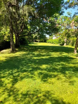 Opportunity: House for sale on the Island, CABA
