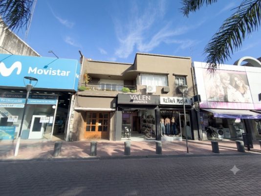Venta PH PB- 5 amb- USO PROFESIONAL - SAN FERNANDO