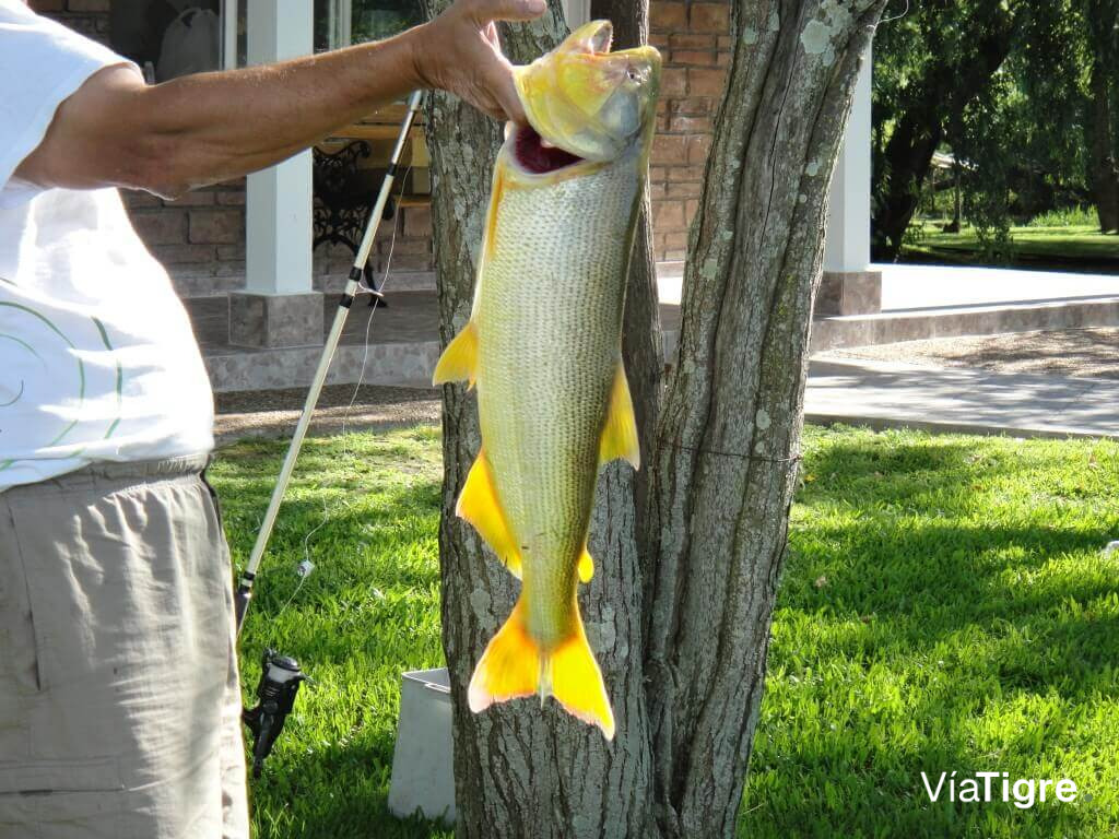 La pesca en el San Antonio