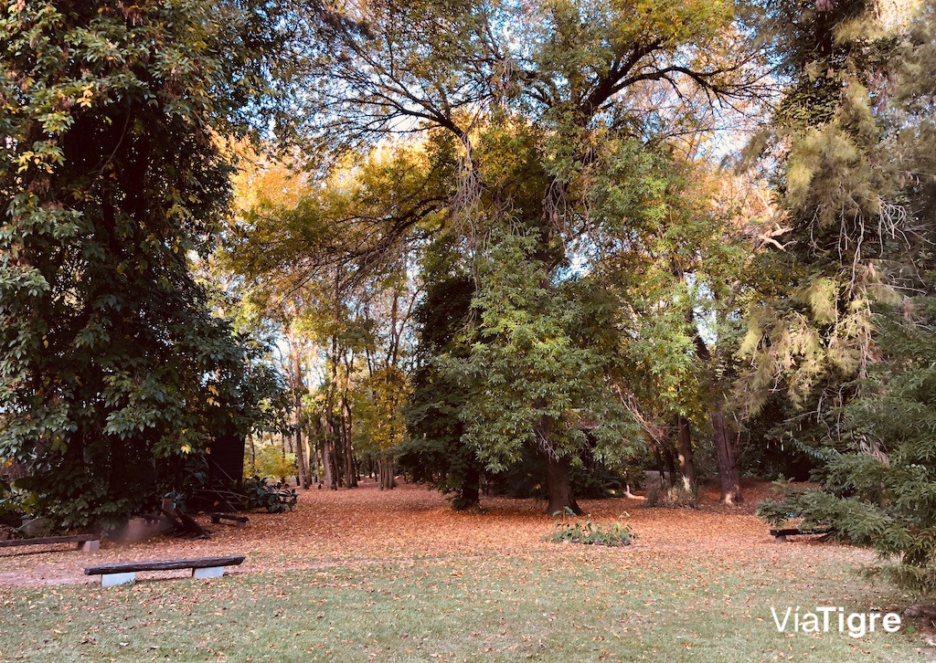 Bosque con Cabañas - Aldea de Rio
