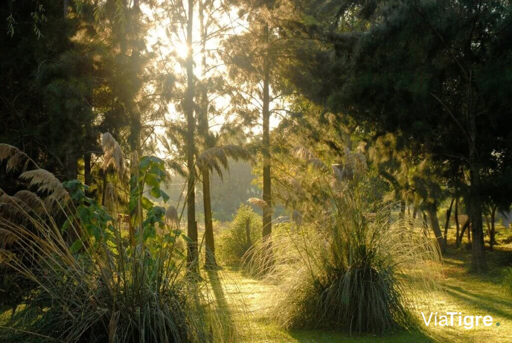 Parque - Aldea de Rio