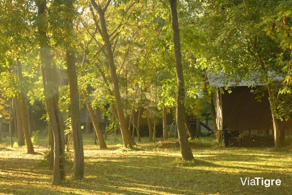Bosque con Cabañas - Aldea de Rio