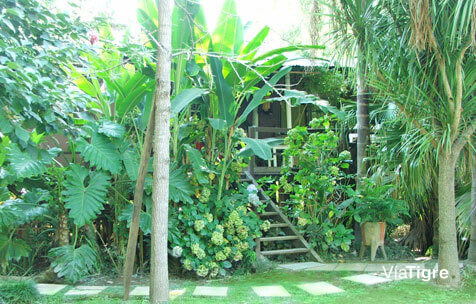 Cabaña La Pindonga