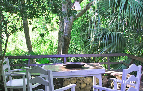 Cabaña La Pindonga