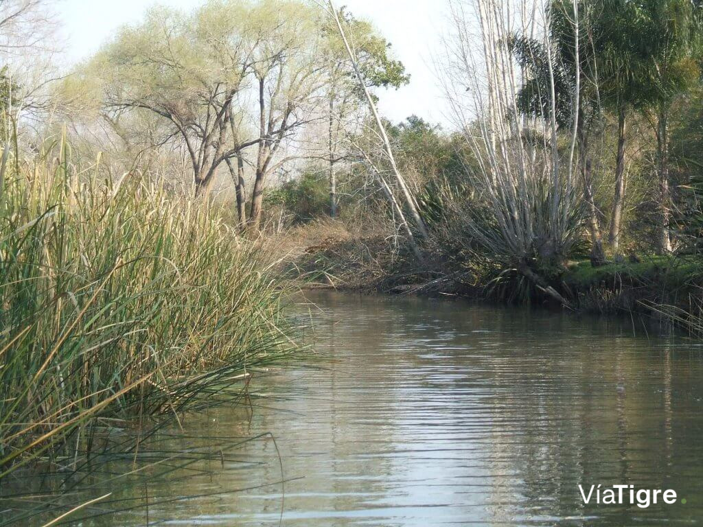 Villa Mónica: recorrido por los arroyos