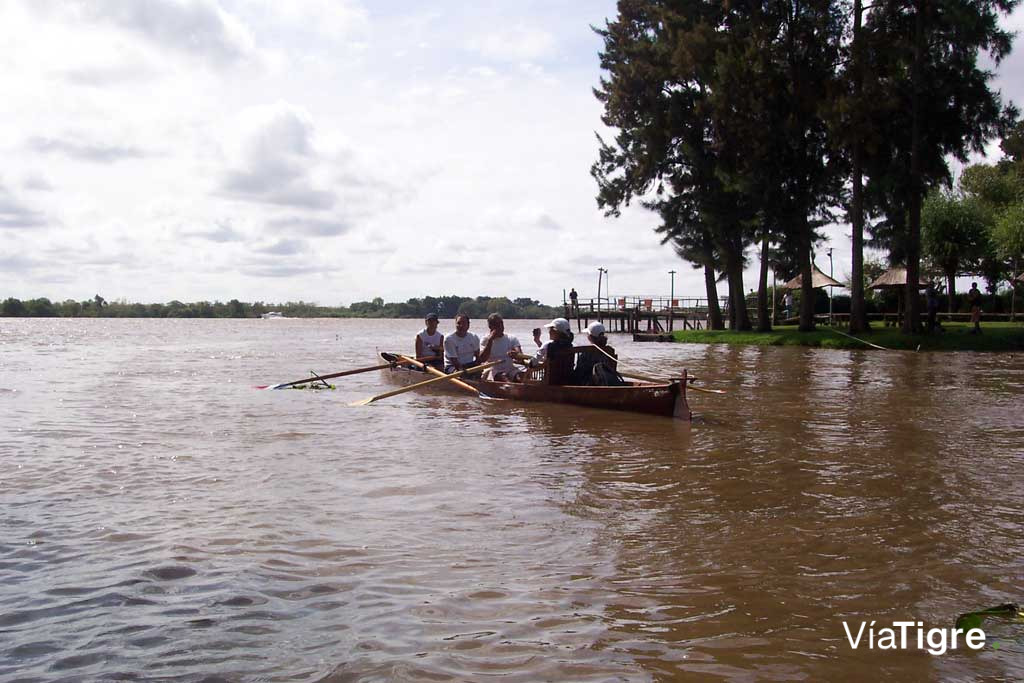 Remo por el Delta
