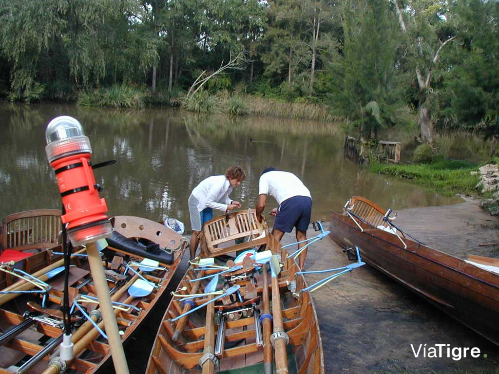 Remo por el Delta