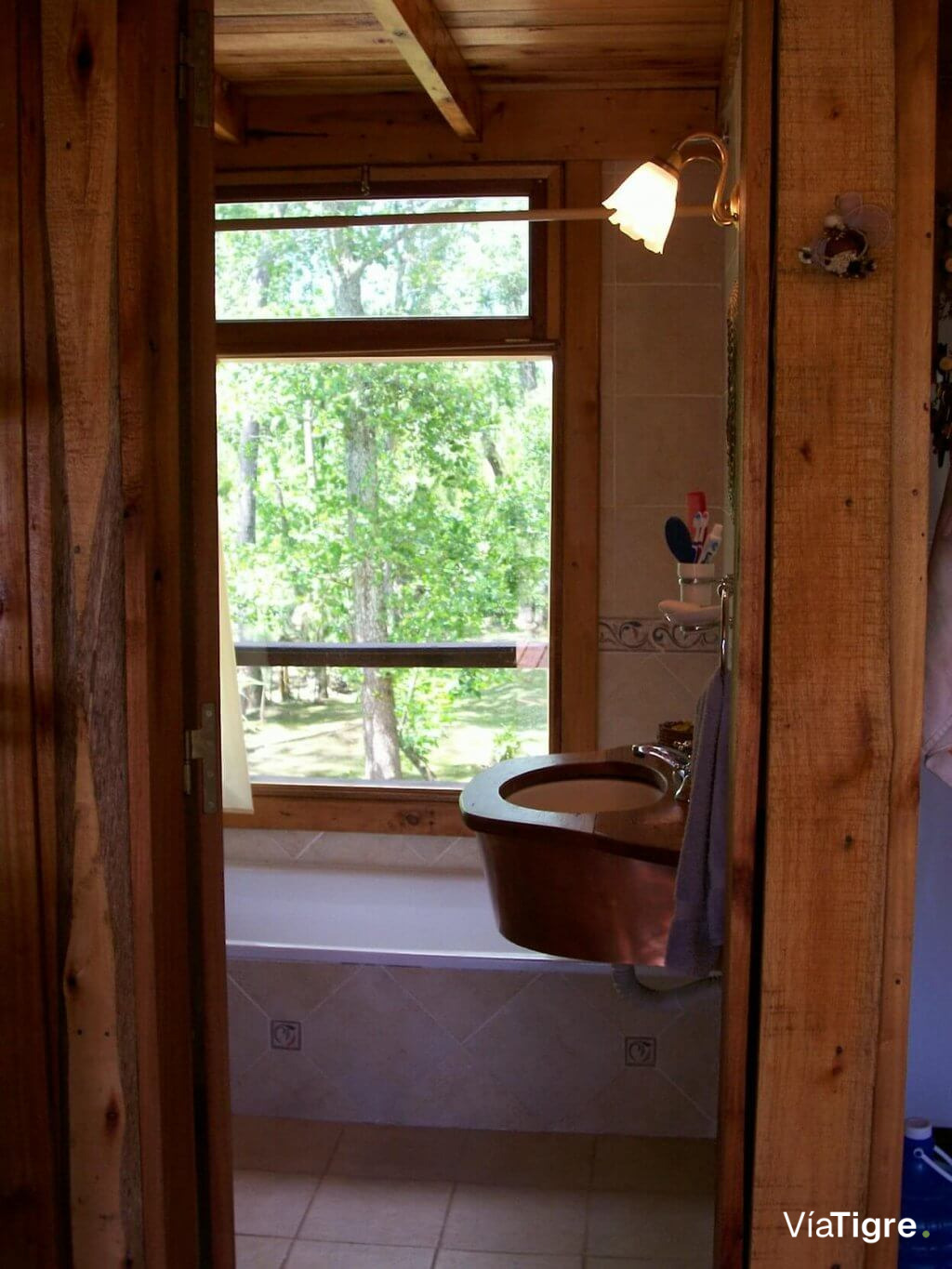 Cabaña Gato Negro